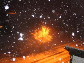 Klicken f�r Bild in voller Gr��e