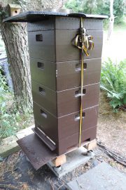 Klicken f�r Bild in voller Gr��e