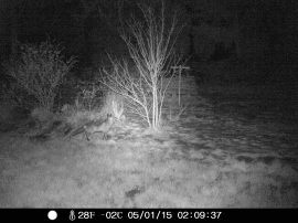 Klicken f�r Bild in voller Gr��e