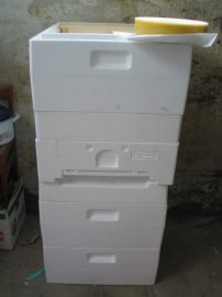 Klicken f�r Bild in voller Gr��e