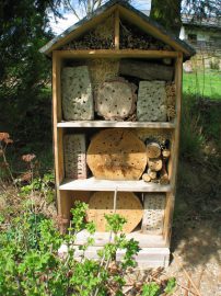 Klicken f�r Bild in voller Gr��e