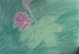 Klicken f�r Bild in voller Gr��e