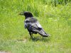 Dateiname : DSCN1634.jpg
Dateigröße : 802KB
Abmessungen : 1469x1102
hinzugefügt am : 31.Mai 2019 DSCN1634.jpg
