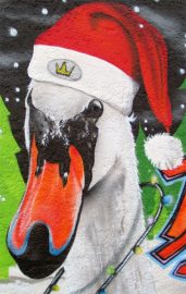 Klicken f�r Bild in voller Gr��e