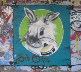 Klicken f�r Bild in voller Gr��e