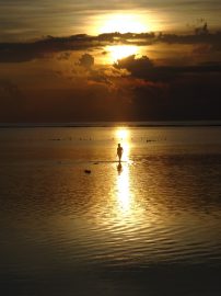 Klicken f�r Bild in voller Gr��e