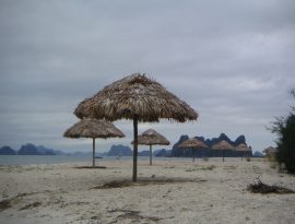 Klicken f�r Bild in voller Gr��e