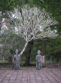 Klicken f�r Bild in voller Gr��e