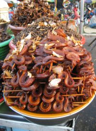 Klicken f�r Bild in voller Gr��e