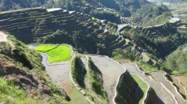 Klicken f�r Bild in voller Gr��e