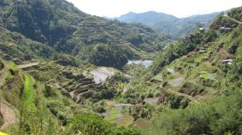 Klicken f�r Bild in voller Gr��e