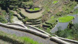 Klicken f�r Bild in voller Gr��e