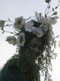 Klicken f�r Bild in voller Gr��e