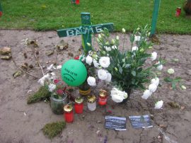 Klicken f�r Bild in voller Gr��e