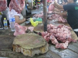 Klicken f�r Bild in voller Gr��e