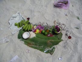 Klicken f�r Bild in voller Gr��e