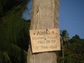 Klicken f�r Bild in voller Gr��e