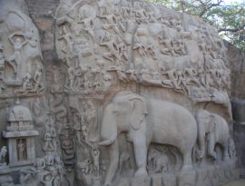 Klicken f�r Bild in voller Gr��e