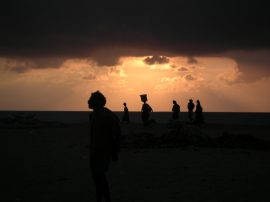 Klicken f�r Bild in voller Gr��e