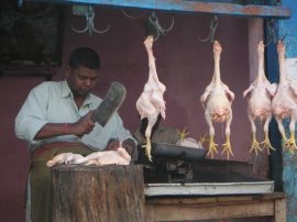 Klicken f�r Bild in voller Gr��e