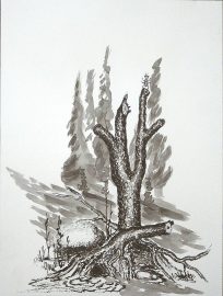 Klicken f�r Bild in voller Gr��e