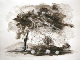 Klicken f�r Bild in voller Gr��e