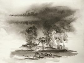 Klicken f�r Bild in voller Gr��e