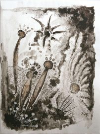 Klicken f�r Bild in voller Gr��e