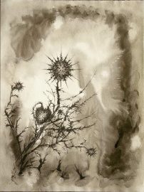 Klicken f�r Bild in voller Gr��e