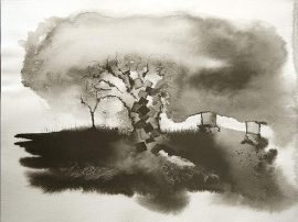 Klicken f�r Bild in voller Gr��e