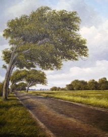 Klicken f�r Bild in voller Gr��e