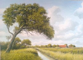 Klicken f�r Bild in voller Gr��e