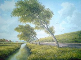 Klicken f�r Bild in voller Gr��e