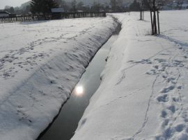 Klicken f�r Bild in voller Gr��e