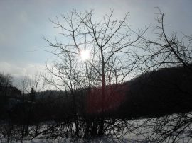 Klicken f�r Bild in voller Gr��e