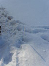 Klicken f�r Bild in voller Gr��e