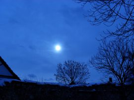 Klicken f�r Bild in voller Gr��e