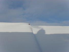 Klicken f�r Bild in voller Gr��e