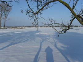 Klicken f�r Bild in voller Gr��e