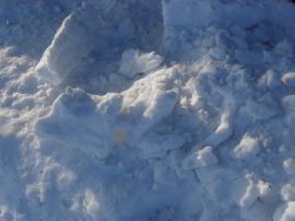 Klicken f�r Bild in voller Gr��e