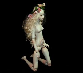 Klicken f�r Bild in voller Gr��e