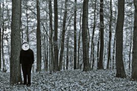 Klicken f�r Bild in voller Gr��e