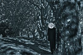 Klicken f�r Bild in voller Gr��e